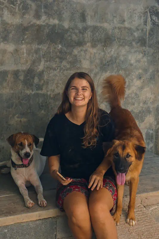 The dogs of Lanta Animal Welfare: Olwen & Zevvi