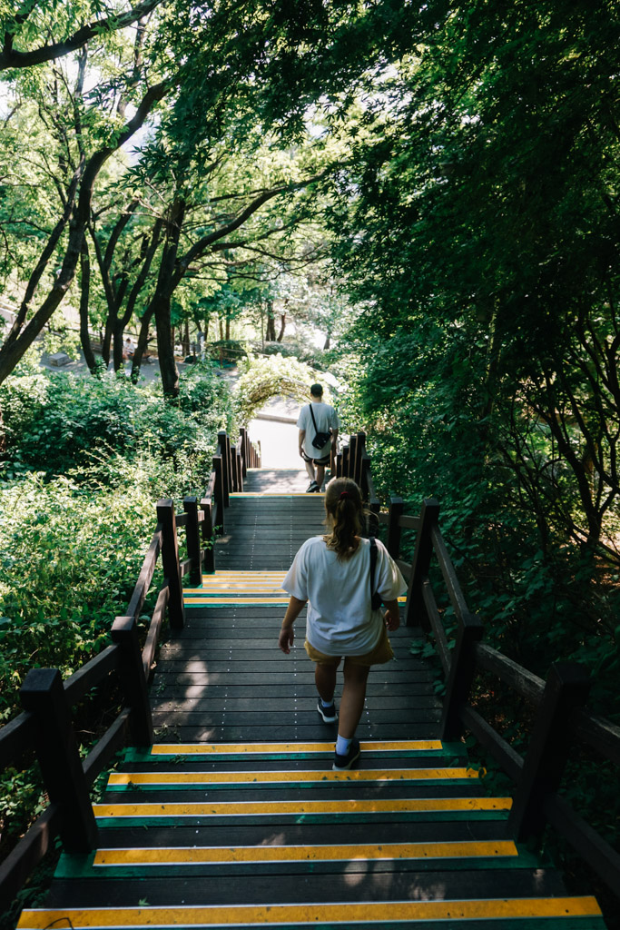 What to know before visiting South Korea