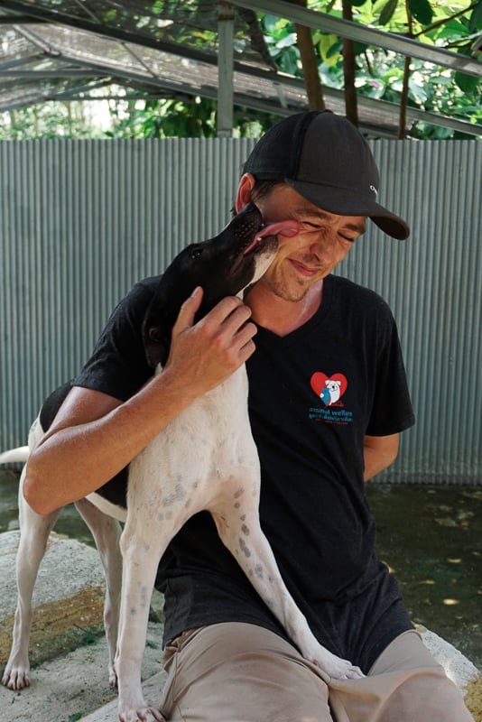 Volunteering at Lanta Animal Welfare - Violet
