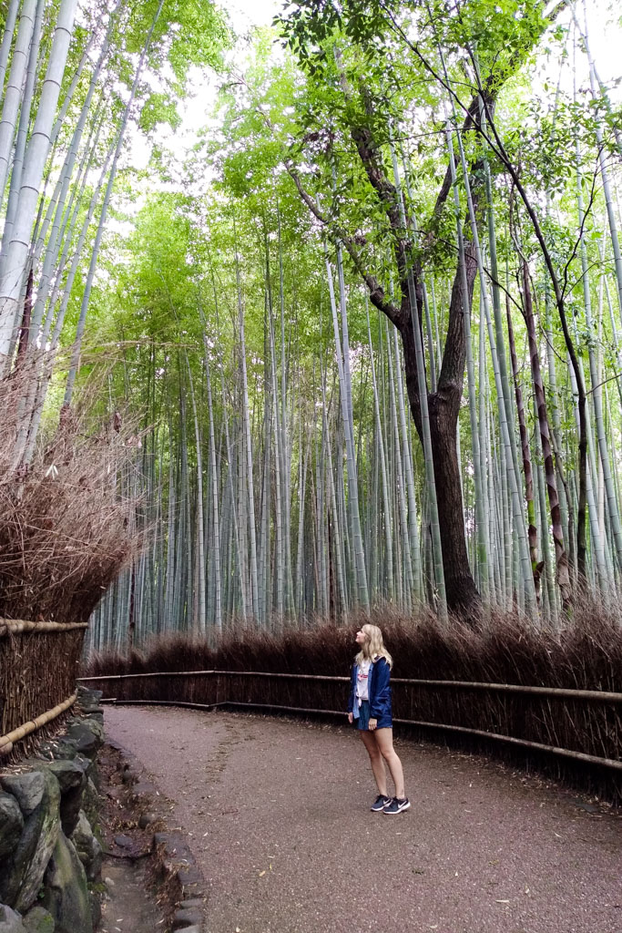 Arashiyama Bamboo Forest - Japan Itinerary