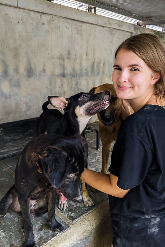 Volunteer at Lanta Animal Welfare - Forrest, Mali & Ribble