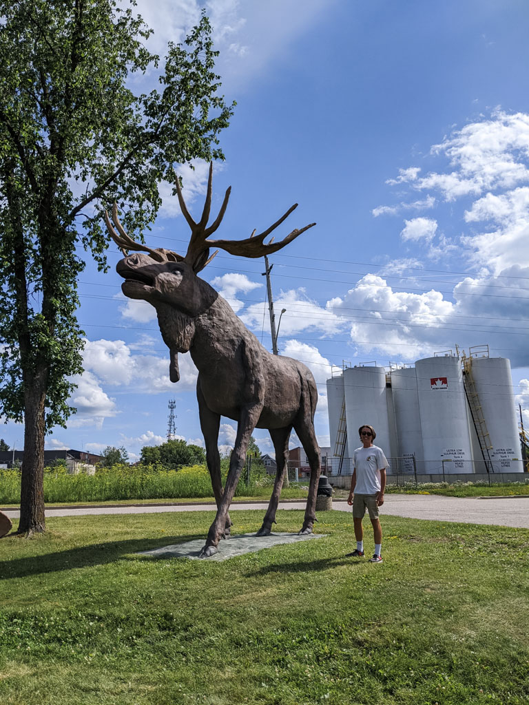 Max the Moose, Ontario, Canada