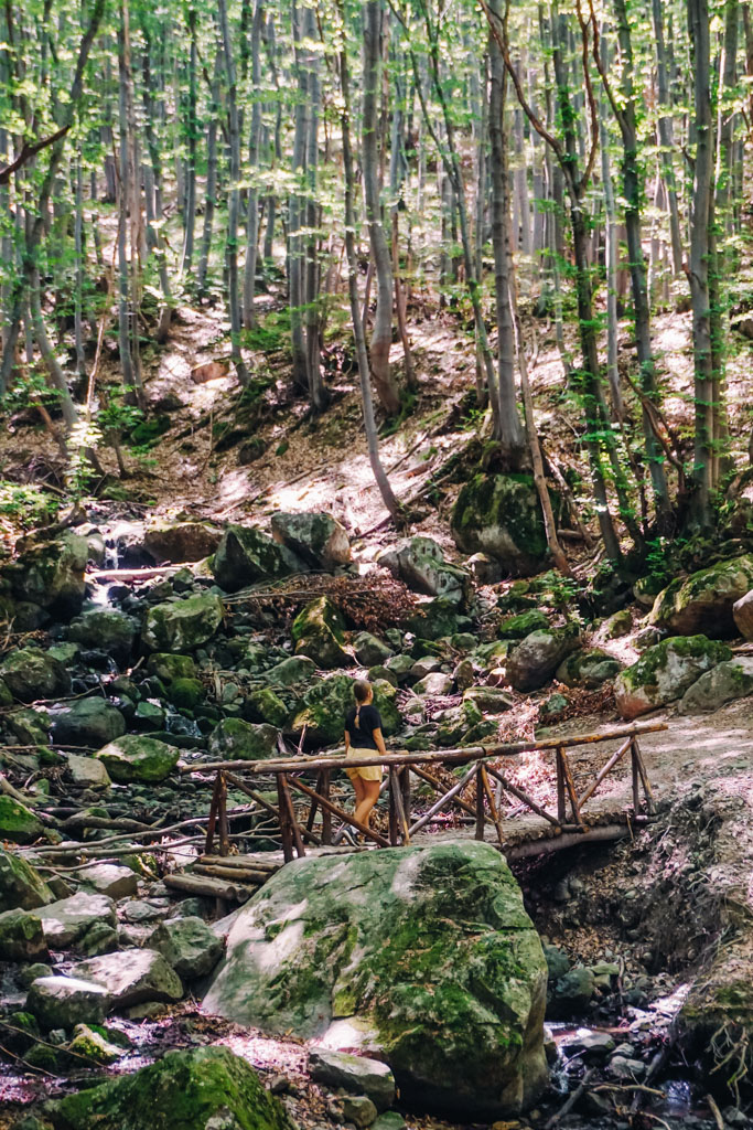 Boyana Waterfall Trail