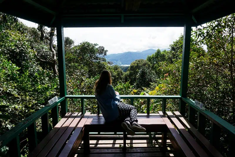 Exploring Mount Brinchang