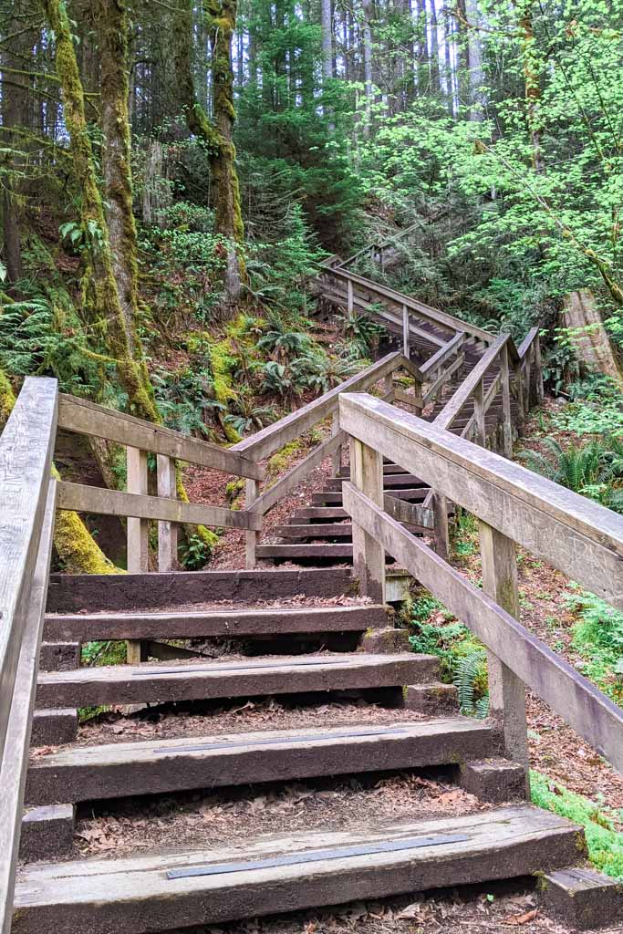 Lynn Canyon Tall Steps - Vancouver