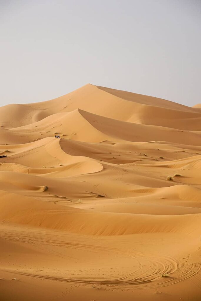 The Sahara Dunes