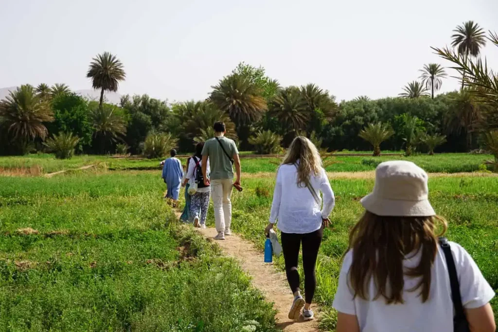 Exploring the farmland of Tinghir