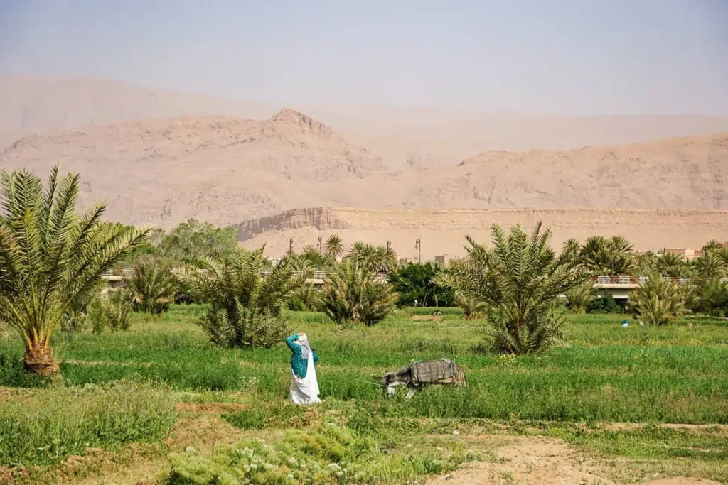 The village of Tinghir during a Sahara Desert Tour