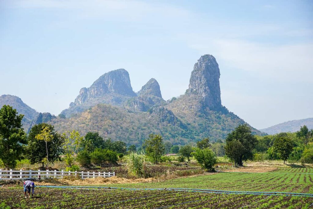 Beautiful Lopburi Countryside