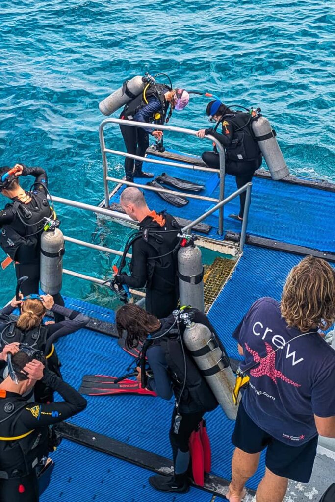 Diving in the Great Barrier Reef