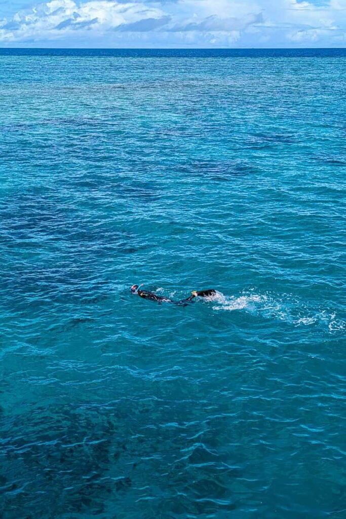 Snorkelling in the Great Barrier Reef