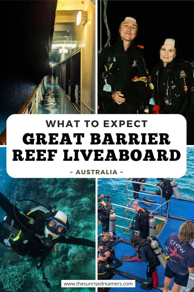 great barrier reef liveaboard australia travel guide
